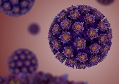 Humani papilloma virus – HPV