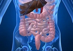 Gastritisi i crijevne zarazne bolesti